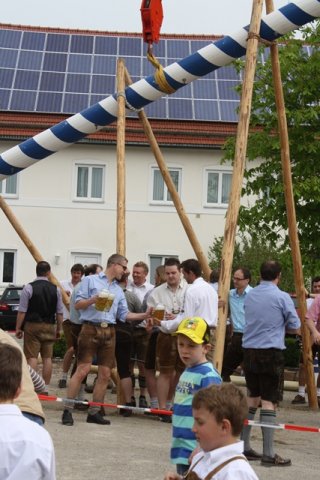 Maibaum 2013